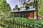 Black Mountain Cabin with Screened Porch and Views!