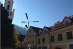 Appartement Alpenresort by Schladming-Appartements