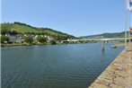 Cozy Apartment in Zell Germany near the Mosel River