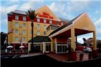 Hilton Garden Inn Tampa Northwest/Oldsmar