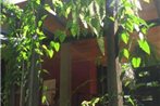Yaxkin Hostel-Palenque