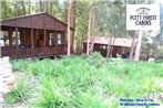 Plett Forest Cabins