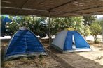 Achivadolimni Camping