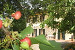 Agriturismo Il Gelso