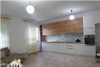 Rent 1 1 Apartment 285Eur for Month
