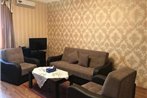 Comfortable Apartment In City Center