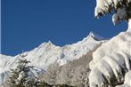 Apartment Cresta Saas Fee