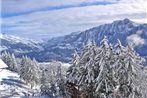 Apartment Hortensia Leysin