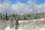 Panoramic Oberharz Ferienapartments