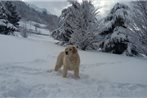 Appartamento Pista Stelvio