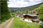 Ski-in Ski-out Chalet Kriekels - by Alpen Apartments