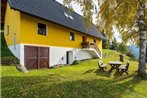 Holiday house near ski area in Eberstein