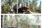 The Tree House