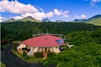 A view of Mount Warning