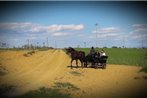 Azienda Agrituristica Il Poggetto Delle Spighe