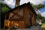 Secludet cozy cabin beside a river