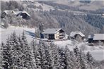 Lush Apartment in Afritz am See near Ski Area