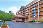 Comfort Inn Executive Park