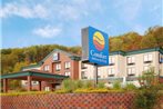 Comfort Inn & Suites Rogersville