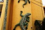 Condo Geckoman at Las Iguanas