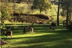 Countryside Retreat Spa Cottage Hepburn - Daylesford