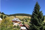 Ferienwohnung-Todtnauberg-in-der-Pension-Gloecklehof