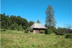 Ferienwohnung Hinterzarten 170S