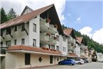 Holiday flats Residenz Kupferkanne Todtmoos - DMG10005-DYC