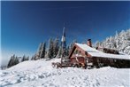 Obere Maxlraineralm