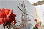 elena studios paros