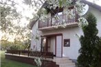 Holiday home Vonyarcvashegy 4