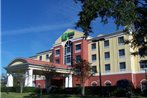 Holiday Inn Express Hotel & Suites Tampa-Fairgrounds-Casino