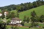 Hotel Gruner Baum mit Restaurant & Wellness