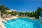 Luxury villa with a swimming pool Poljane