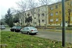 Feszek Apartman