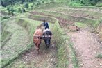 Bustee Village Farmhouse