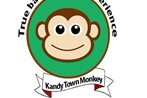 Kandy Town Monkey
