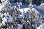 Cozy Apartment with Trampoline in Triberg