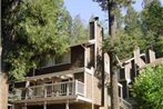 Lake Arrowhead Chalets