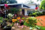 Molino Tourist Rest Anuradhapura