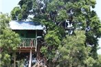 Hasthi Tree House Yala