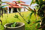 Among the coconut