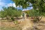 Detached holiday home near truffle capital of Aups with pool and olive trees