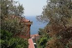 Apartment G Petrovac