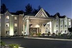 Microtel Inn & Suites by Wyndham Gardendale