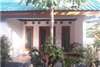 Mirna Homestay