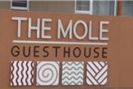 The Mole Guesthouse