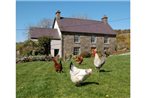 Nantgwynfaen Organic Farm Wales