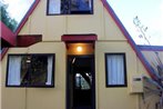 Ace Arawa A-Frame - Ohakune Holiday Home