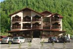 Pension Carpathia